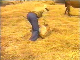CAMPO (93)  LABRANZA